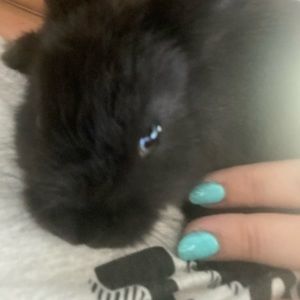 Meet your Posher, Anabela